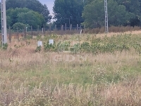 Mórahalom Telek