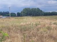 Mórahalom Telek
