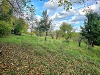 Zalaegerszeg Telek